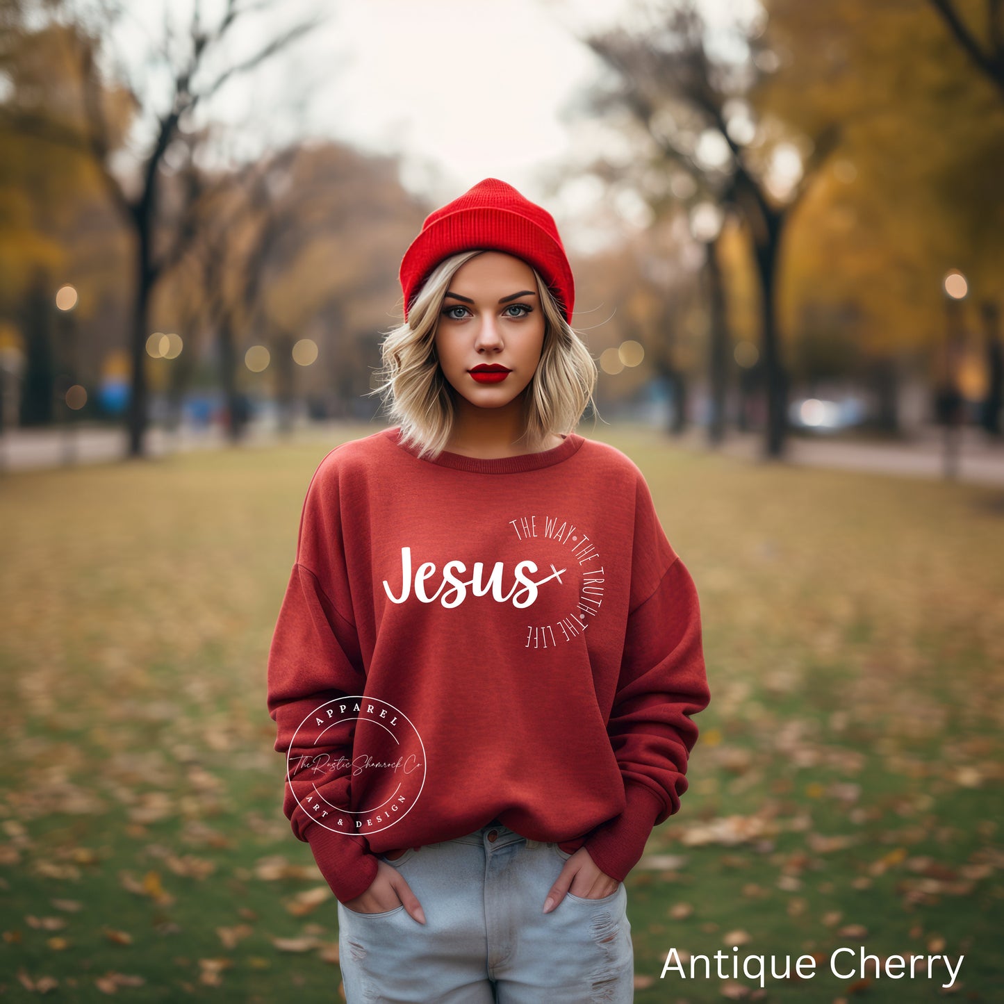 Jesus The Way The Truth The Life sweatshirt, Womens Religious sweatshirt, Faith sweatshirt, Christian shirt, Bible Verse, Jesus Lover shirt